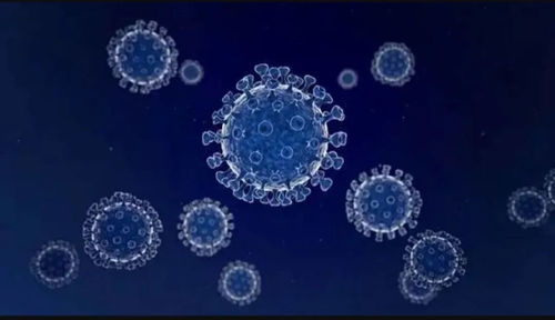 任澤平對話尹燁 生命科技、生物技術與健康長壽的未來前景