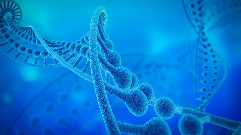 生葆生物首輪融資成功，加速溶瘤細(xì)菌管線臨床試驗進(jìn)程