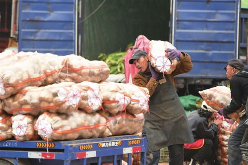 寒潮將至，備貨先行——太原河西市場全力保障市民“菜籃子”供應(yīng)
