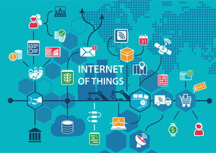 個人網(wǎng)店告別“裸奔”時代 上海頒發(fā)首批個人網(wǎng)店營業(yè)執(zhí)照，助推電商規(guī)范化發(fā)展